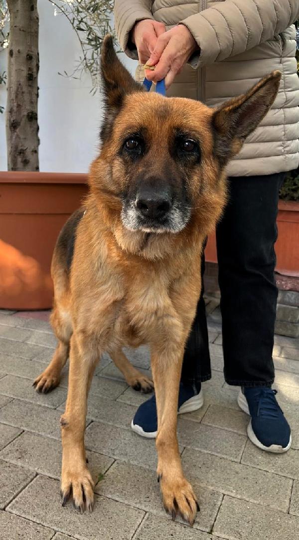 GIANNA PASTORE TEDESCO Foto 5